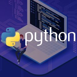 python_preview_small